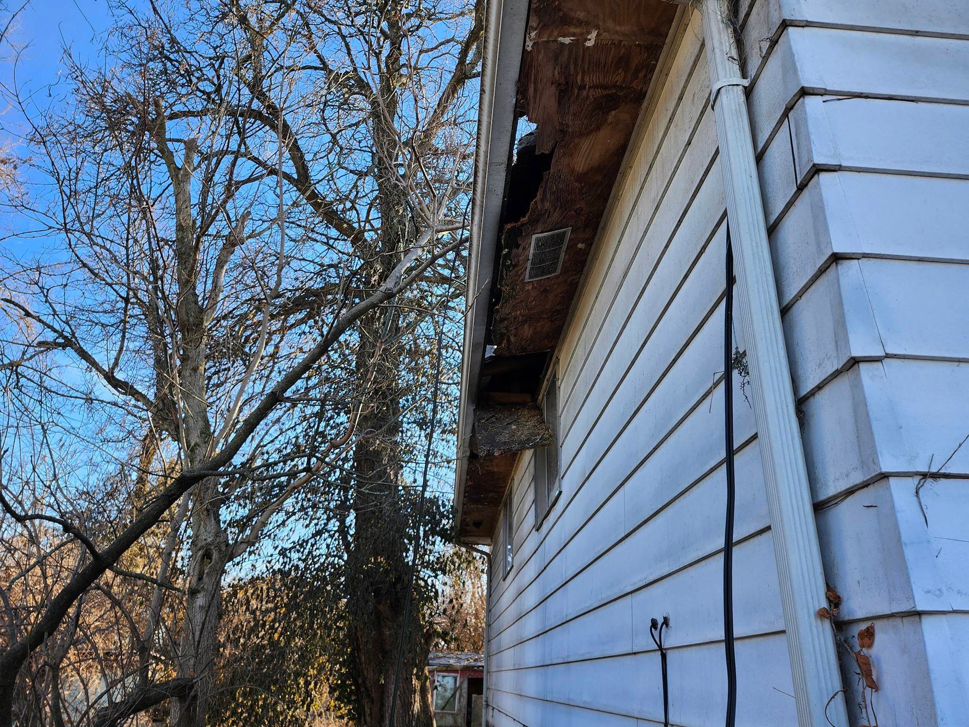 Bare white house siding beside leafless trees and a blue sky