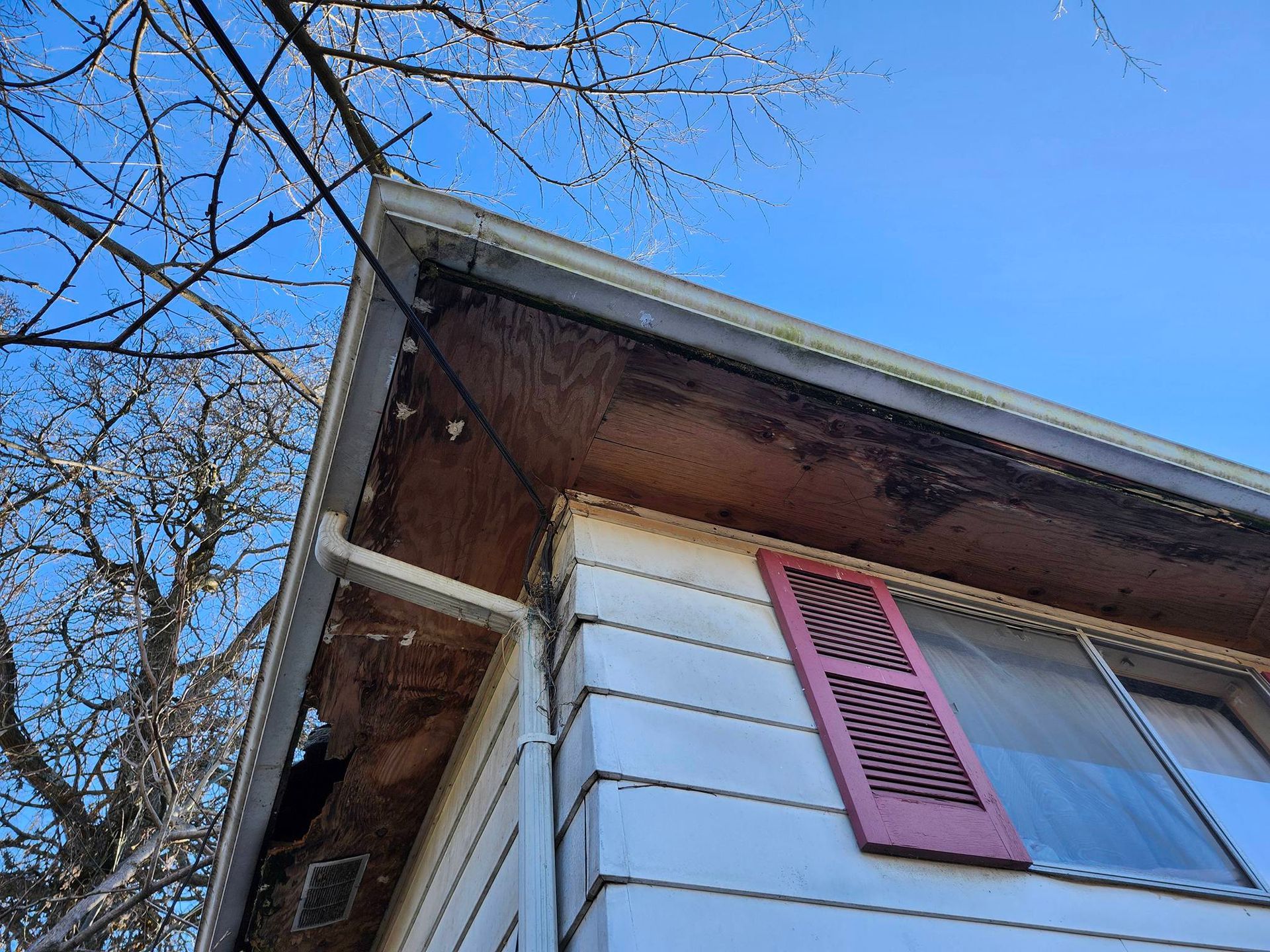 House eaves with white siding, pink shutter, and blue sky framed by bare tree branches