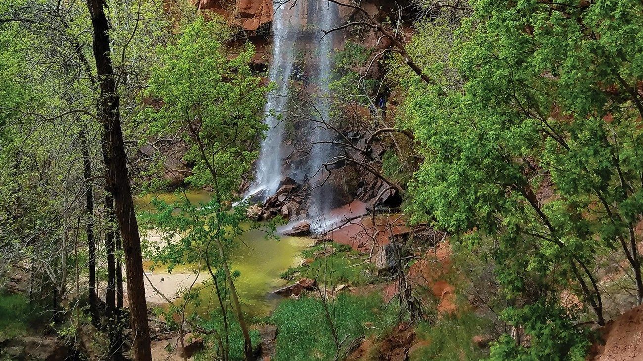 A waterfall is surrounded by trees in the middle of a forest.
