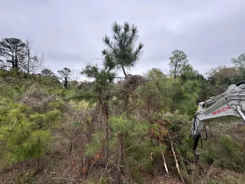 A small excavator clearing brush and trees on a hillside under a cloudy sky.