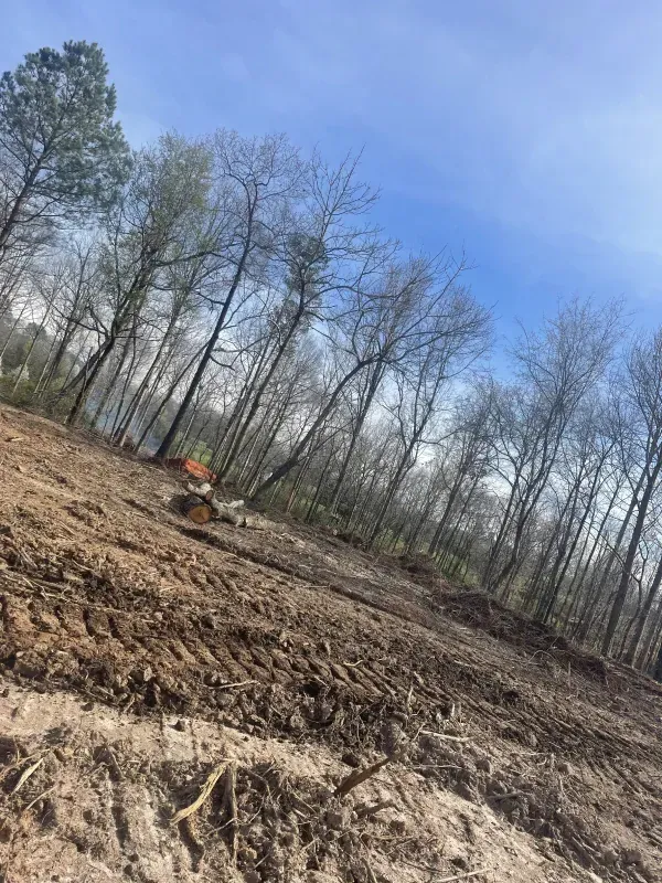 Yellow skid steer mulching vegetation on a snowy, wooded area.