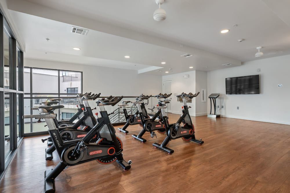 A row of exercise bikes are lined up in a gym at Water's Edge.