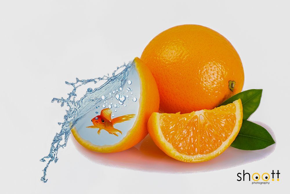 Photoshop creatie van vis in sinaasappel