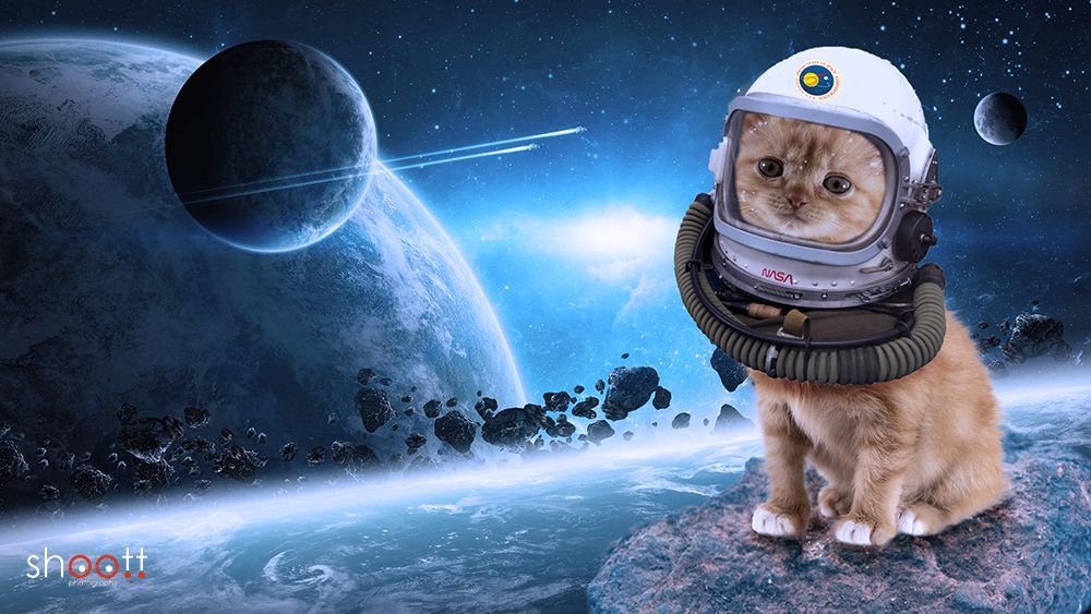Photoshop creatie van kat in astronautenpak in het heelal