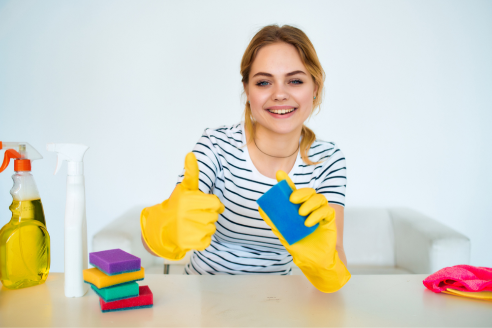 empresa de prestação de serviços domesticos