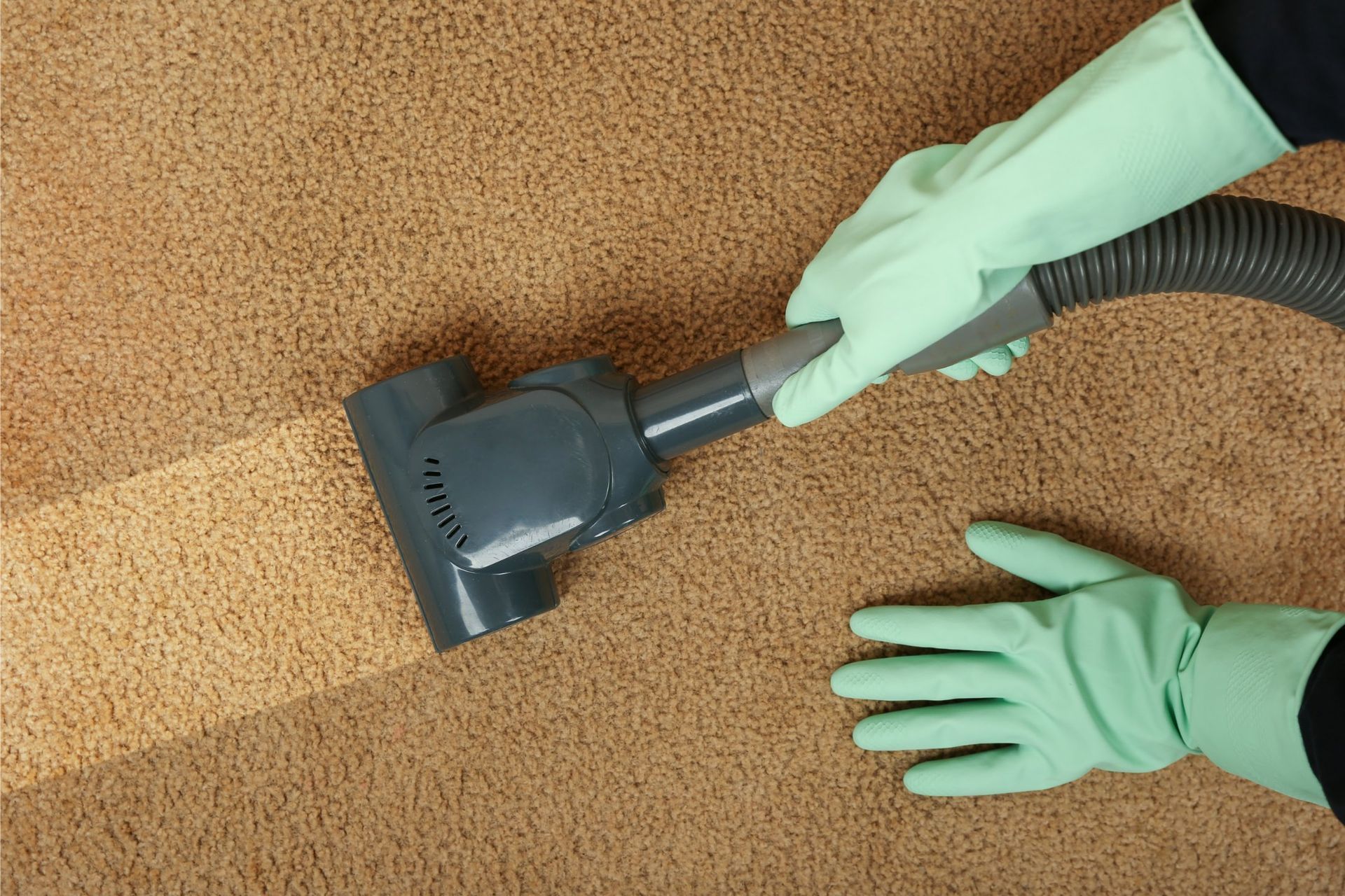 Person vacuuming a brown carpet with a gray vacuum and mint-green gloves