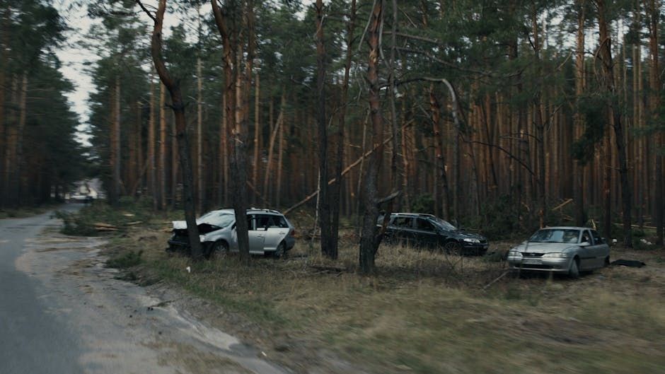 Georgia car accident