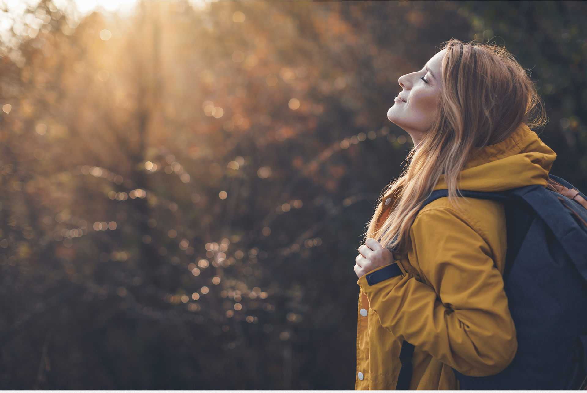 reconneted within
