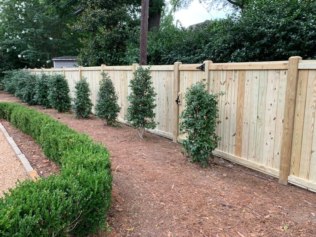 A wooden privacy fence borders a garden area with small shrubs and a curved, manicured hedge in the foreground.