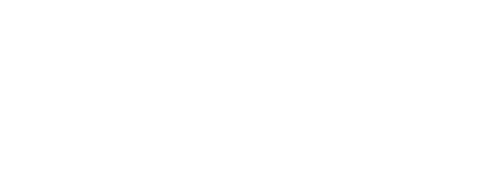 A horizontal bar chart showing the percentage of students in different academic years, with all bars at zero percent.