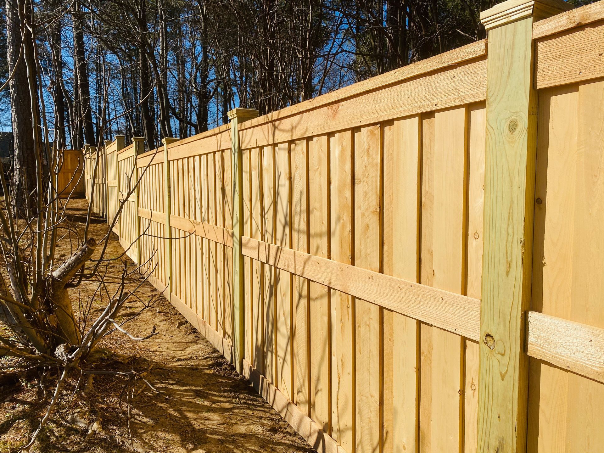 A long, light-wood fence stands against a background of trees under a clear blue sky.