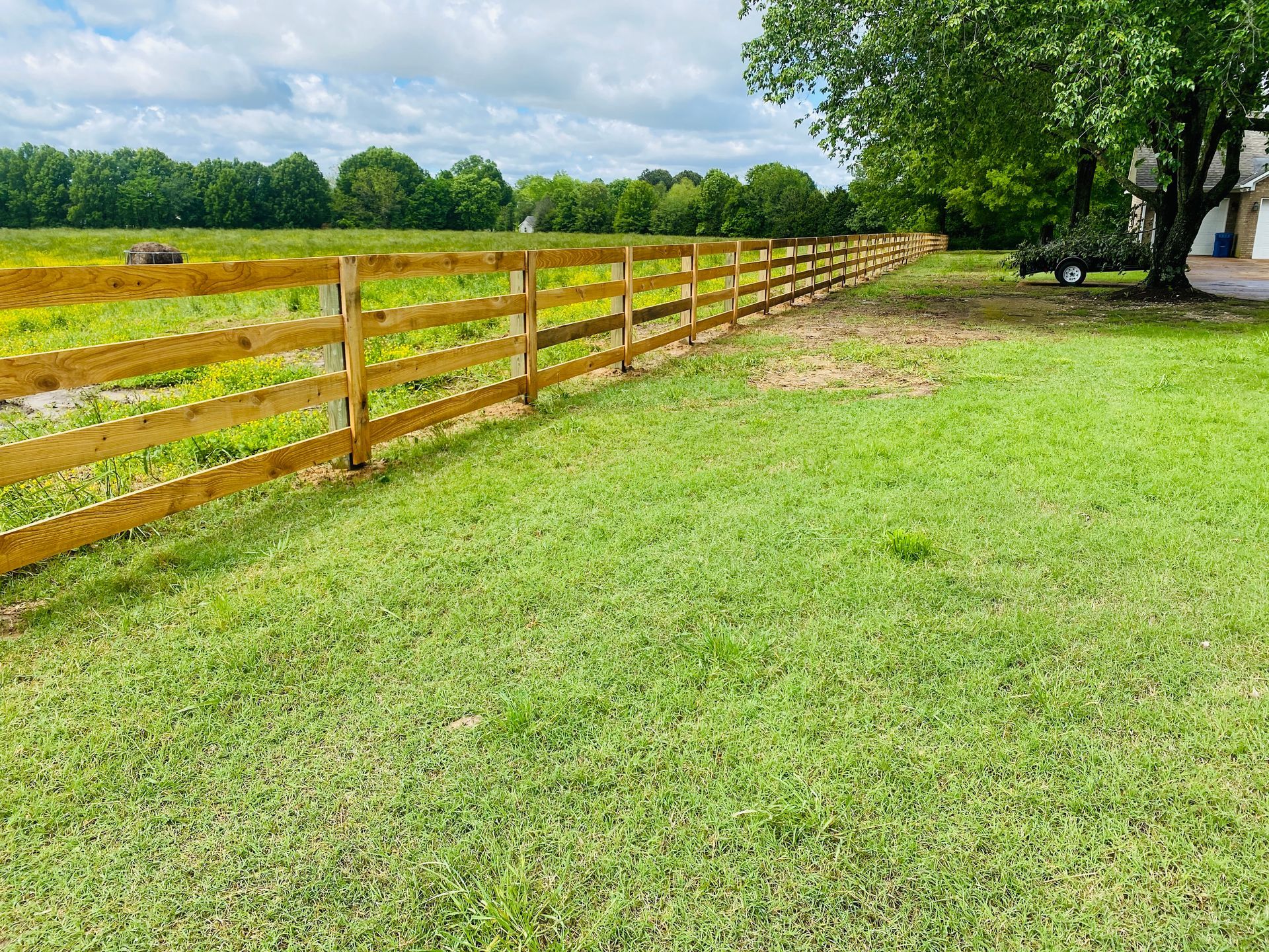 A wooden split-rail fence runs across a bright green grassy field, with a line of trees and a blue sky in the background.