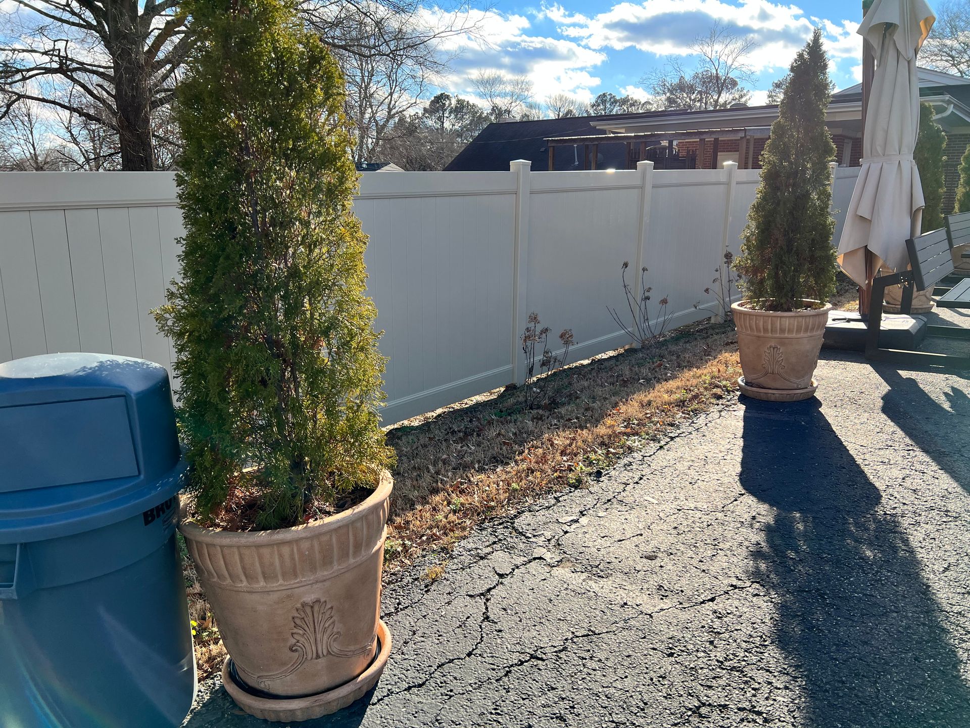 Two potted evergreen trees in beige planters sit on a cracked asphalt driveway in front of a white privacy fence.