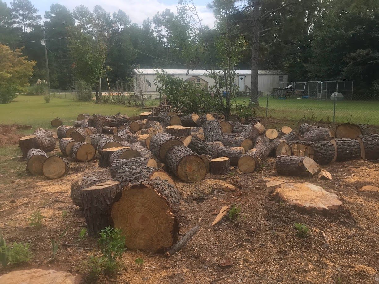 Tree expert clearing land.