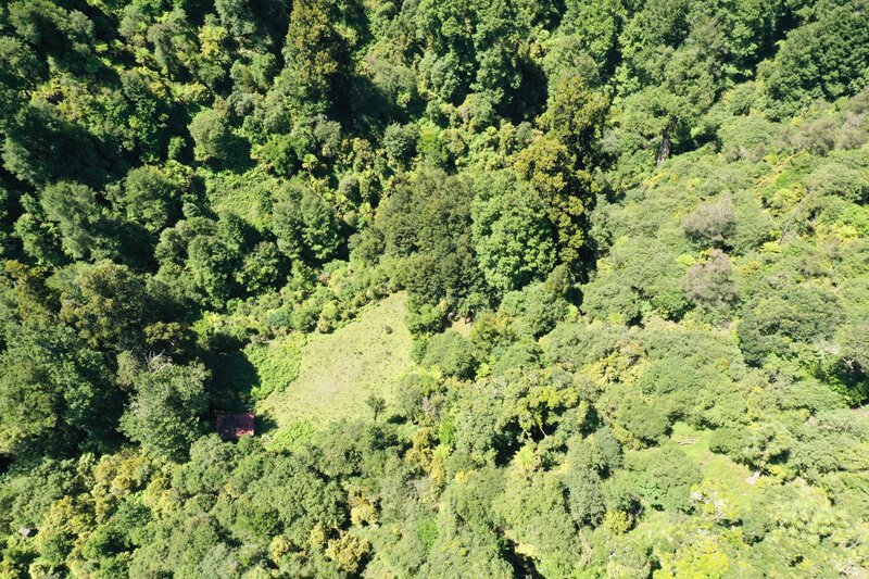 Sika Hunting NZ Lower Ripia Hunting Block Ahimanawa