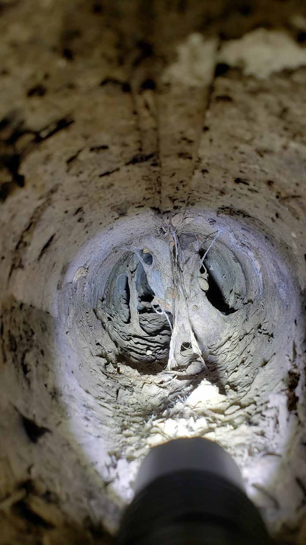 Inside a narrow concrete pipe, a flashlight illuminates debris and a small animal burrow or opening ahead.