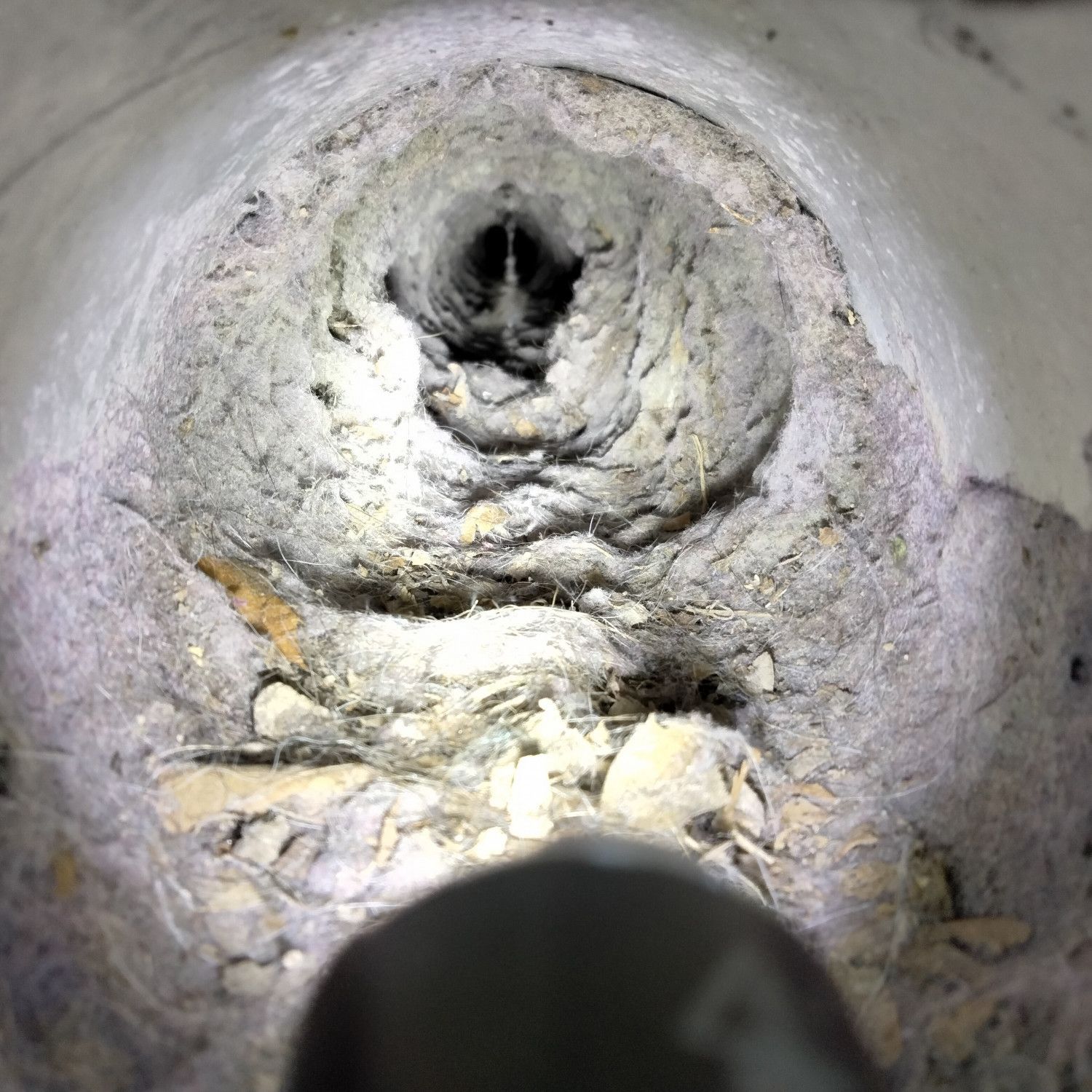 Inside of a gray pipe with buildup and debris, seen from a close-up view.