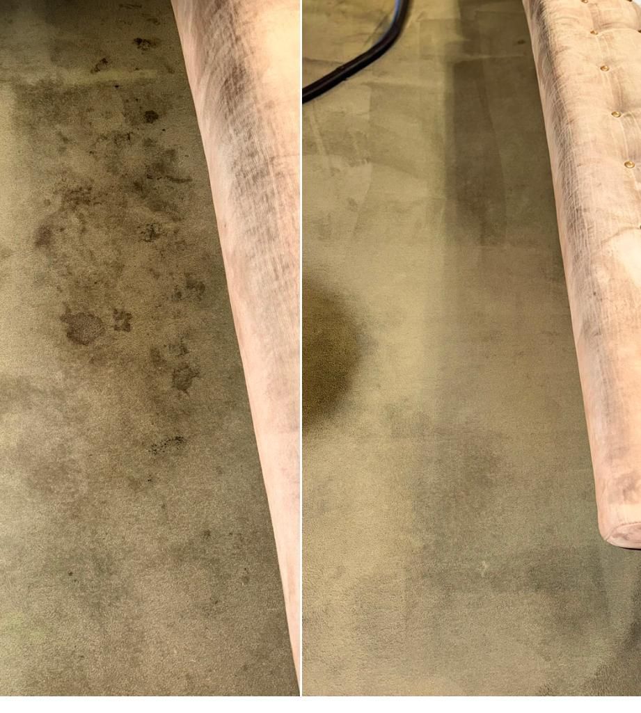 Moquette beige affiancata prima e dopo la pulizia, con una macchia visibile rimossa sul lato destro