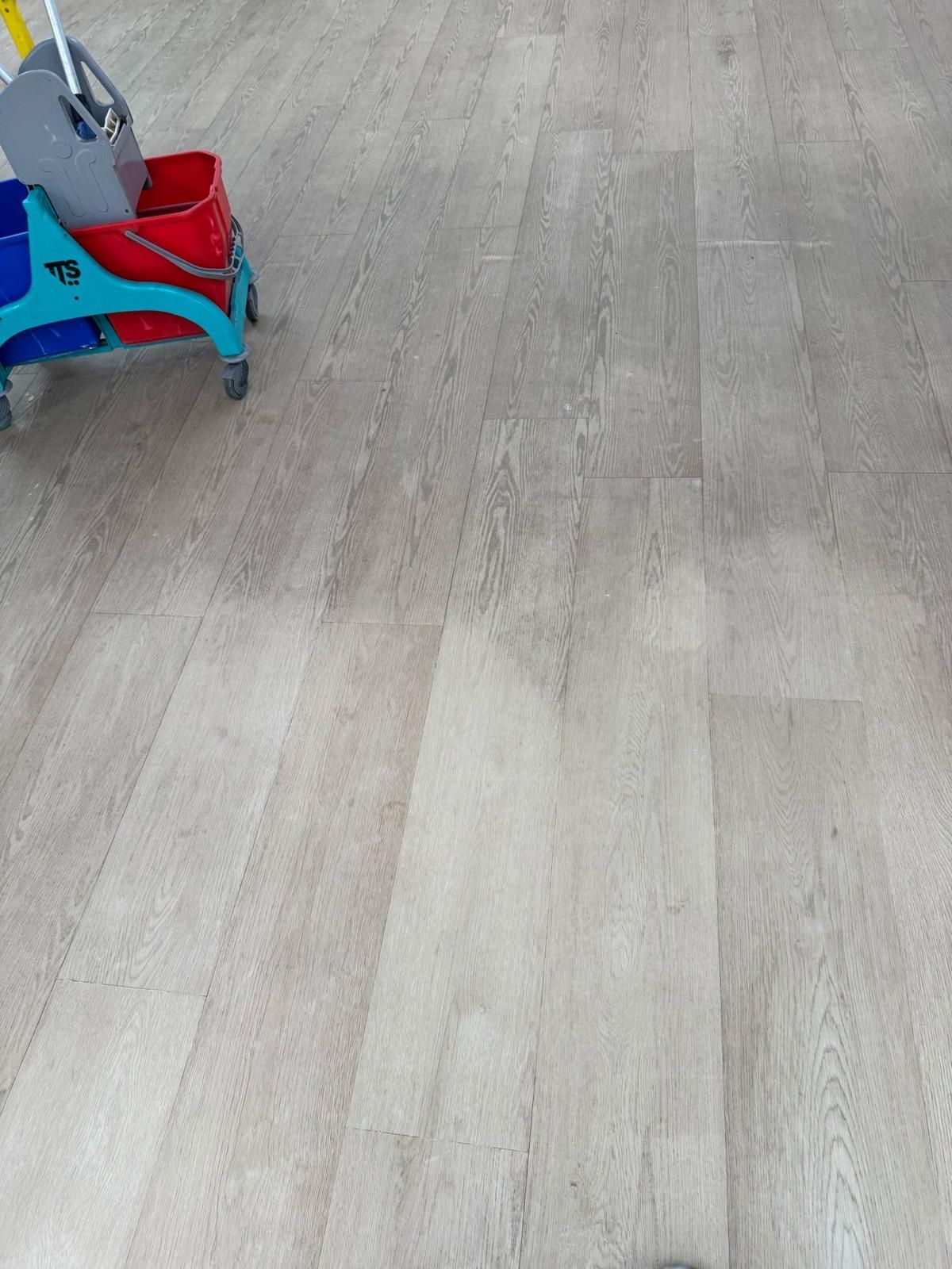 Pavimento in legno grigio chiaro, con una parte di un girello per bambini rosso e blu sul bordo sinistro