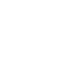 limo service