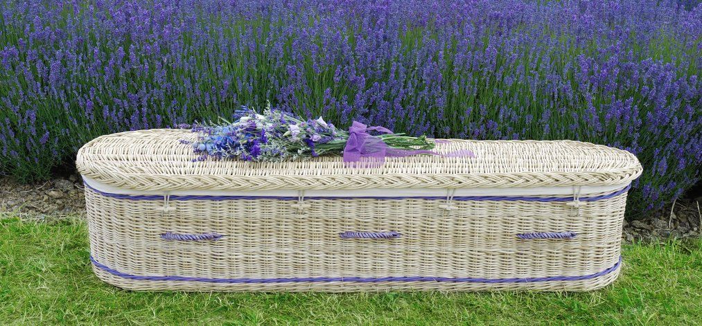 Wicker coffin decorated with lavender in a natural burial ground