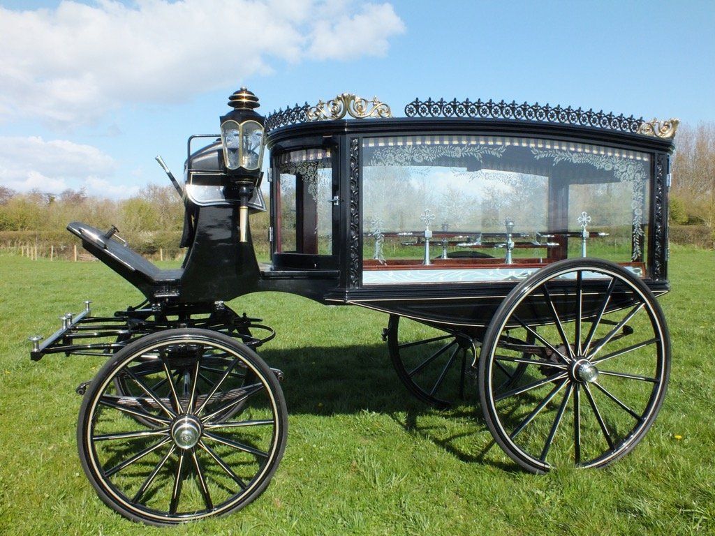 Traditional black horse drawn hearse standing on grass