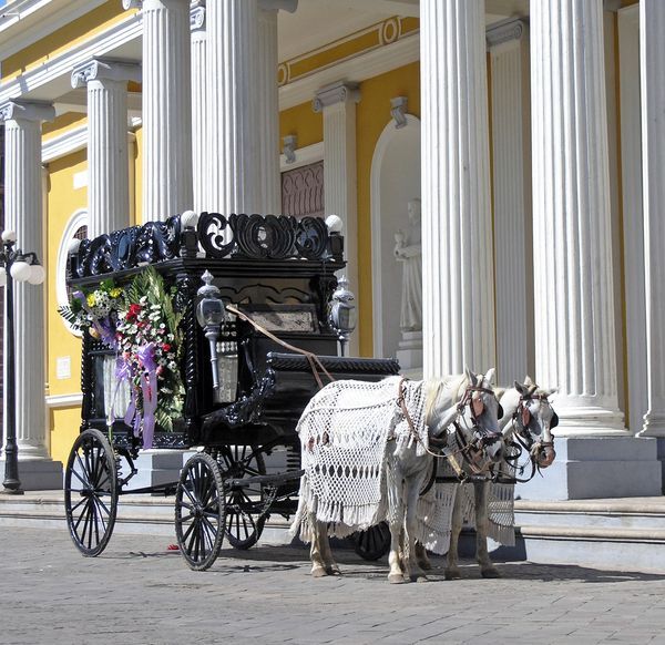 Ornate horse drawn hearse parked outside a classical building