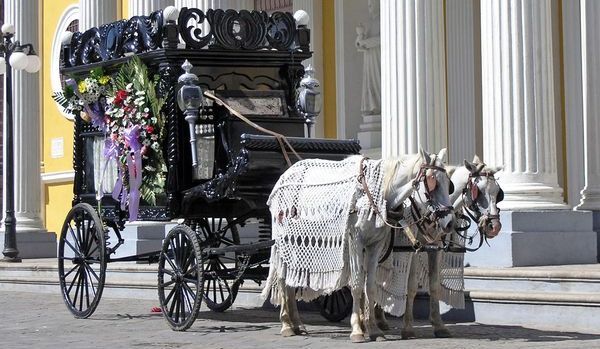 Horse-drawn carriage