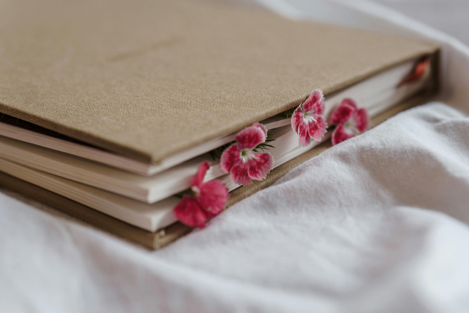 Flowers pressed into a book