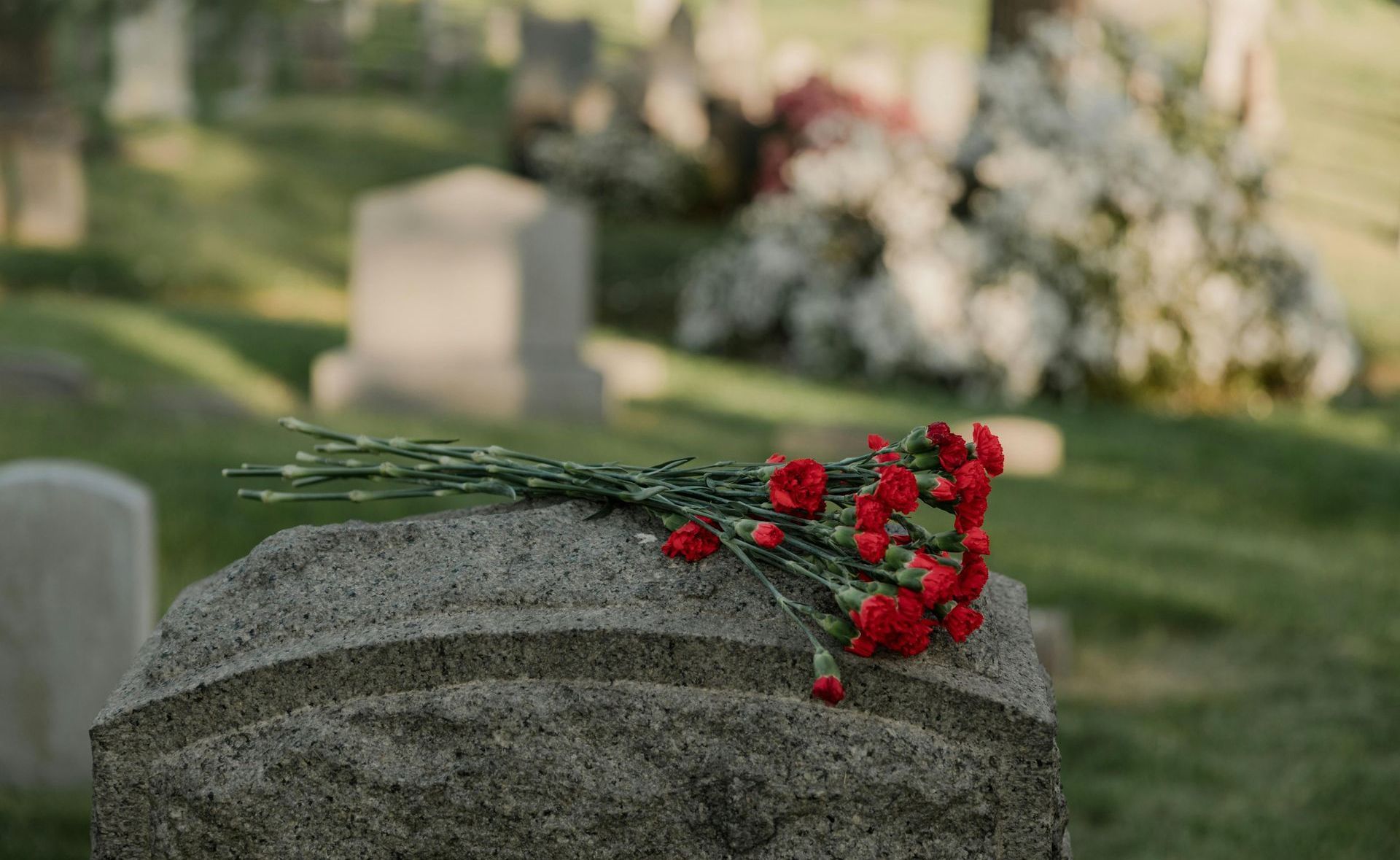 Red roses on a grave