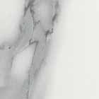 A Black and White Photo of a Woman Sitting in a Chair — The Right Toilet Co In Unanderra, NSW