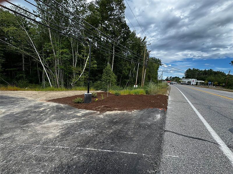 Roadside with mulch-covered area, small tree, power lines, and trees in the background under a cloudy sky.