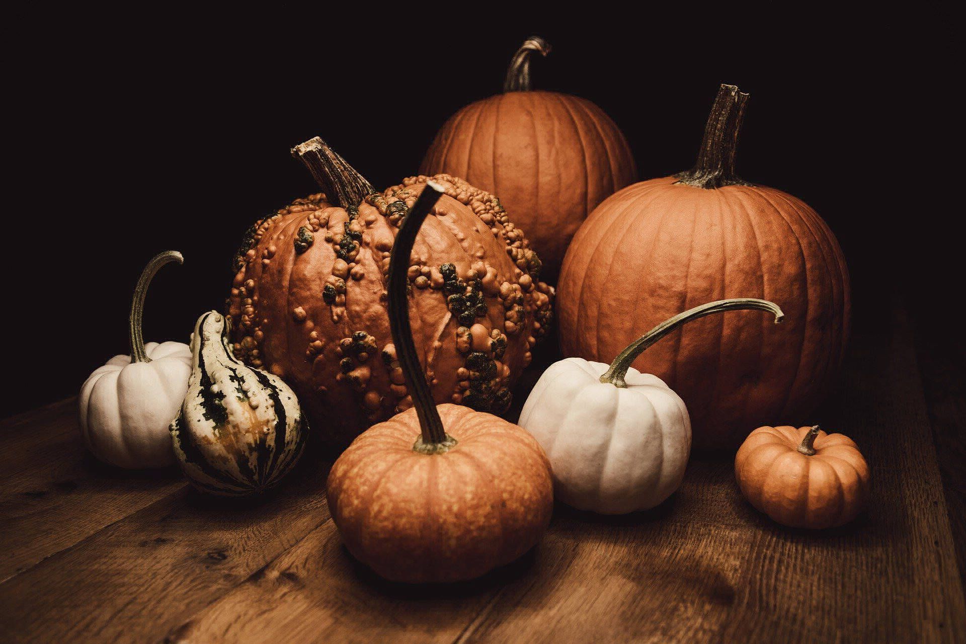 Assortment of pumpkins in various sizes, shapes, and colors, displayed on a wooden surface against a dark background.