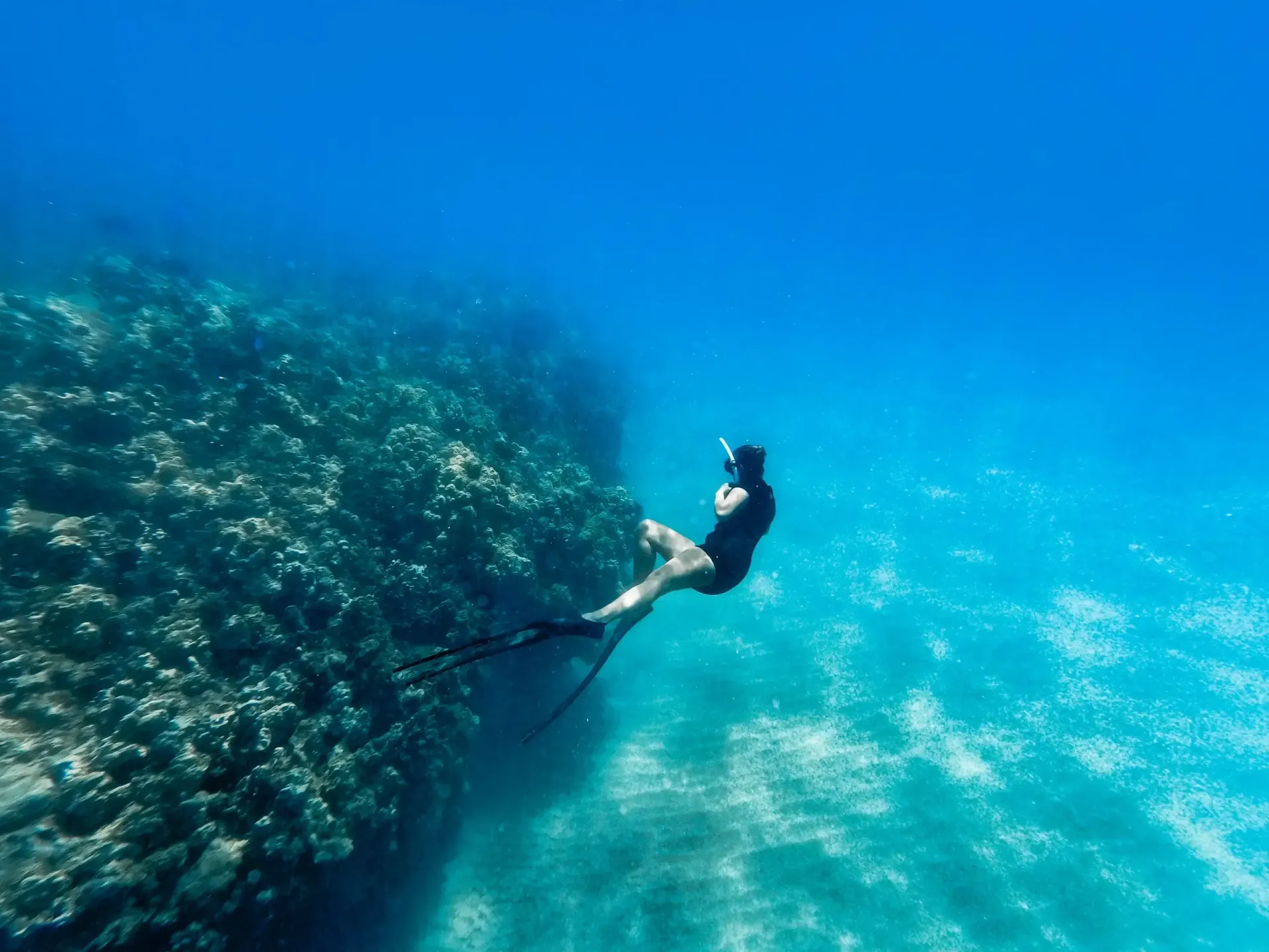Snorkeler gliding over a coral reef ledge on a private Kona snorkeling charter