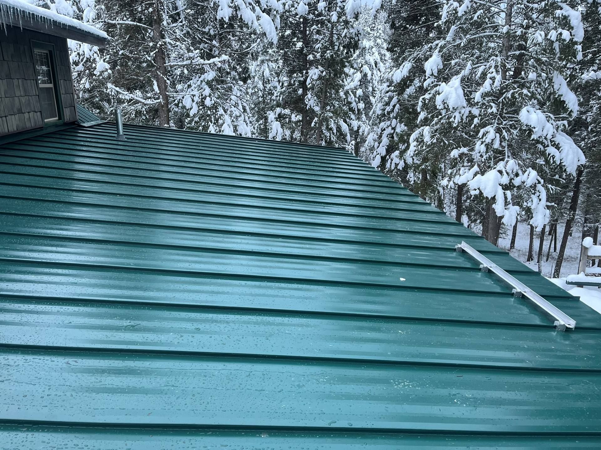 Snow-covered green metal roof with trees in the background