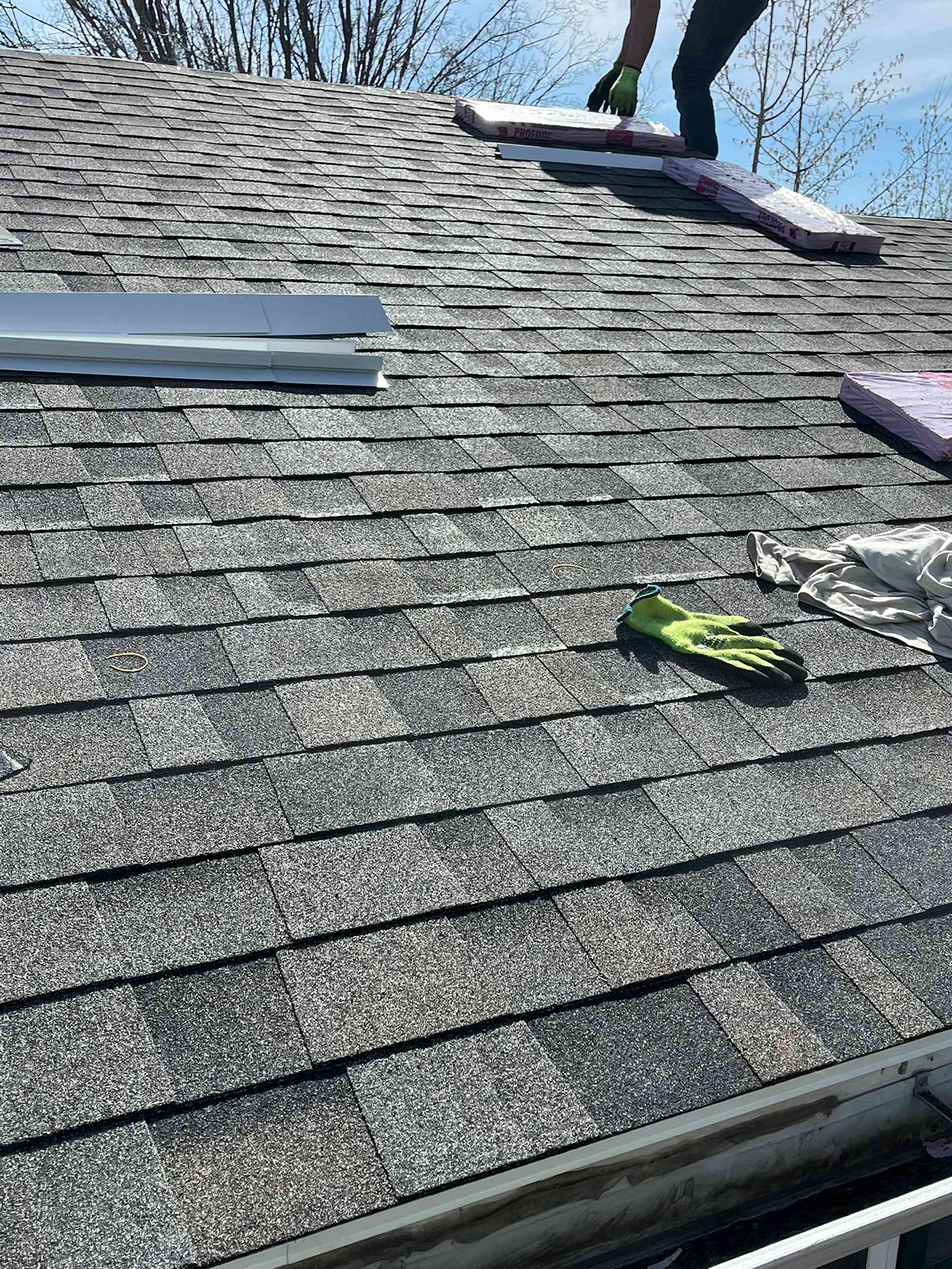 Green and black tool on a gray shingled roof near the ridge, with sky and trees in the background