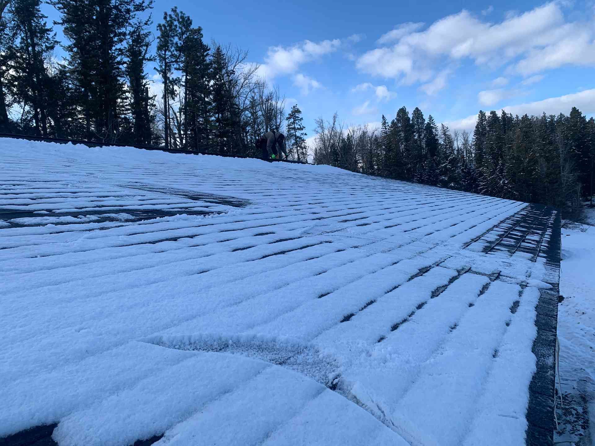 Snow-covered roof with evenly spaced ridges under a blue sky, with pine trees in the background