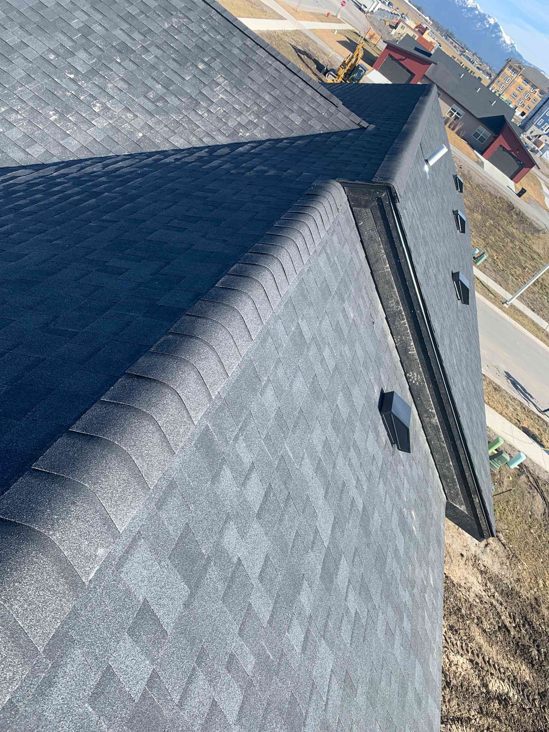 Dark gray shingled roof with steep pitch and a skylight, viewed from above on a sunny day