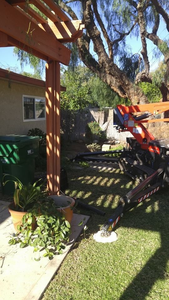 Backyard patio with a red chair, wooden fence, tree shade, and a potted plant by the house.