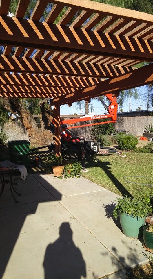 Backyard patio with striped pergola, hanging chair, lawn, and potted plants in sunlight