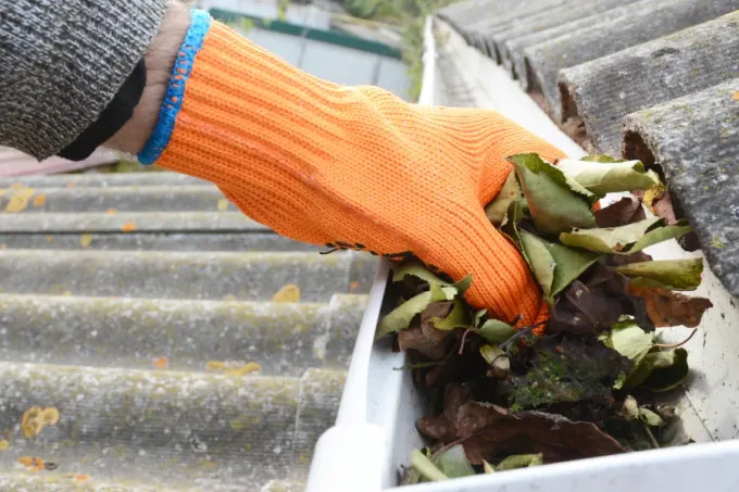 A person wearing blue gloves is cleaning a gutter on a roof.