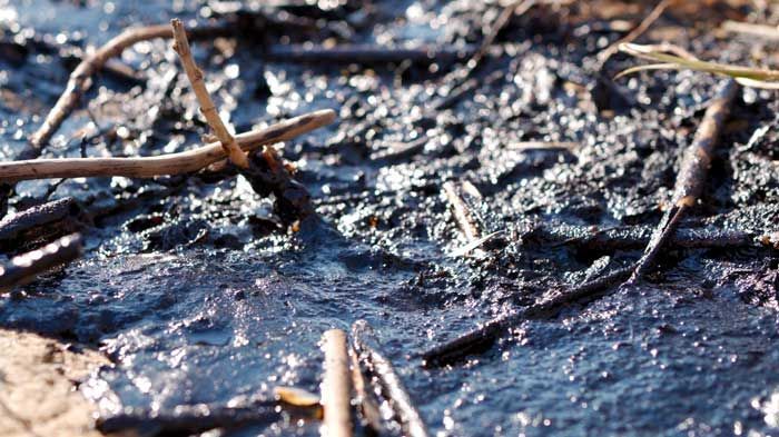 Pro-Vac Oil Spill Cleanup