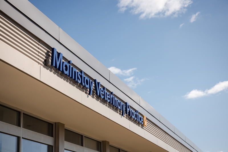 Mainstay Veterinary Practice