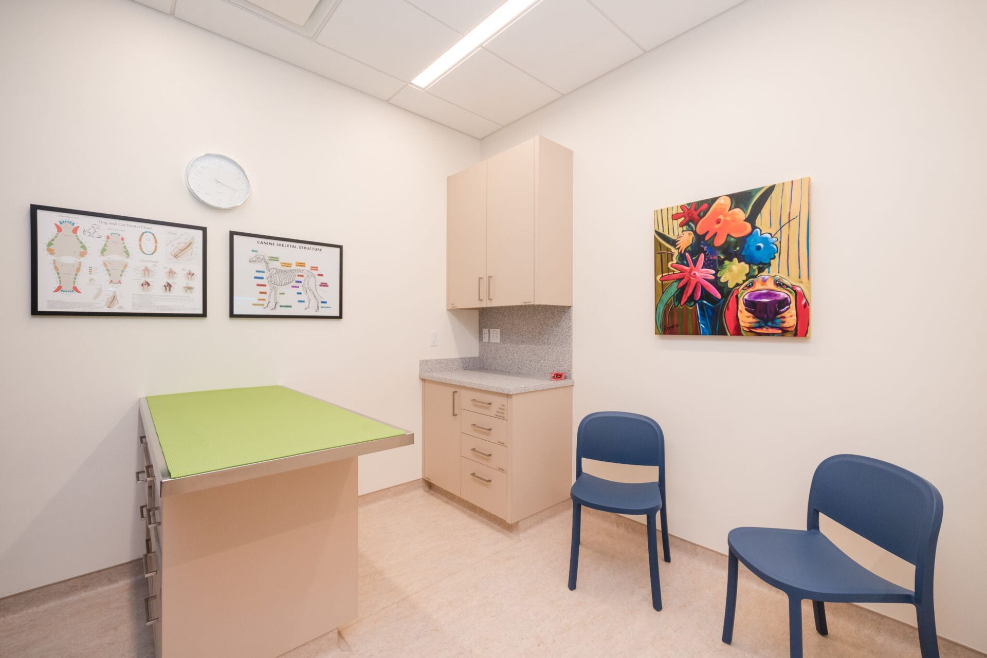 Mainstay Veterinary Practice Exam Room