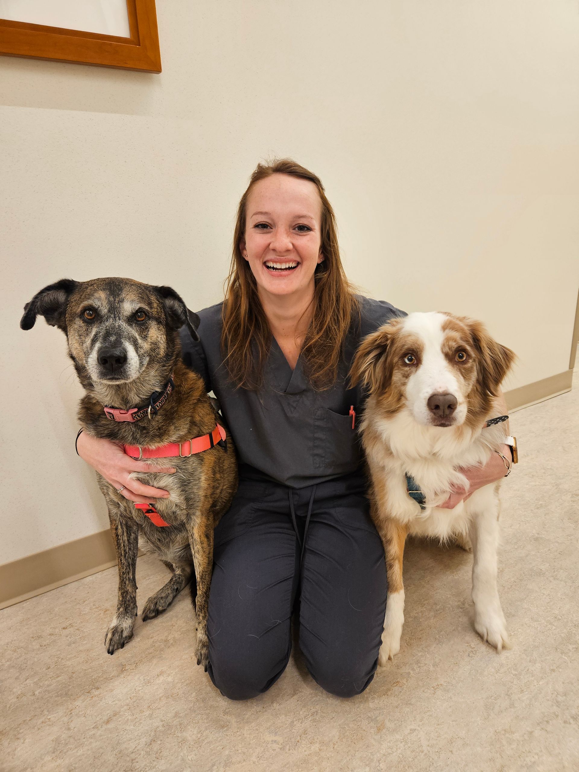 One of our staff with two canine patients