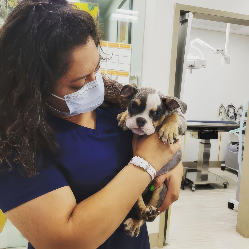 Veterinary staff with puppy.