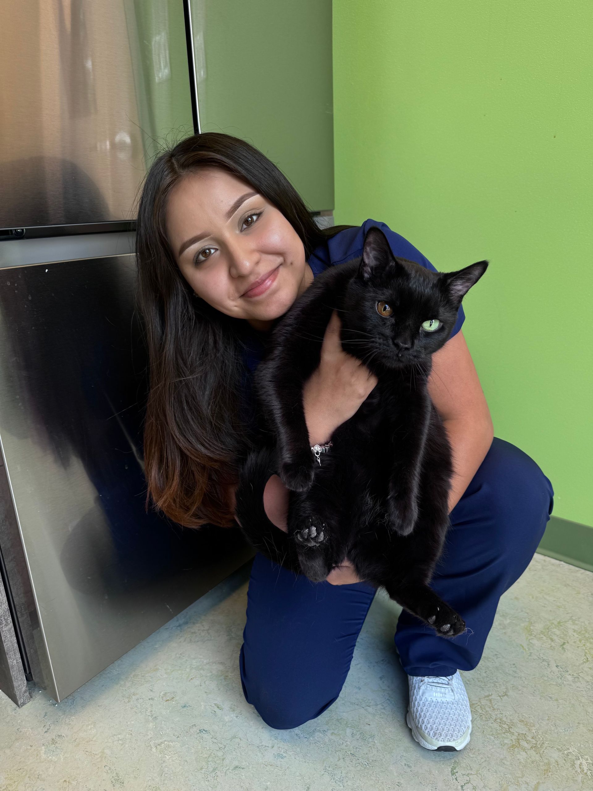 A team member with a black cat