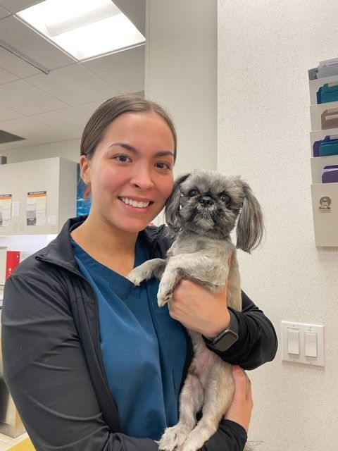 One of our team with a client