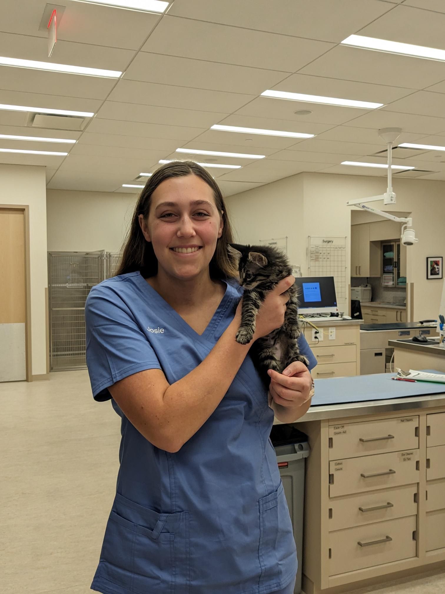Nurse in blue scrubs holding a cat in a veterinary exam room, smiling.