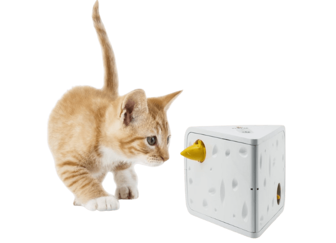 Interactive Cheese Cat Toy